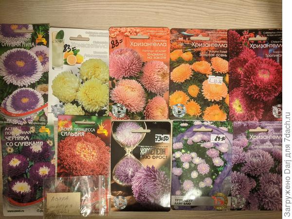 Лимончелло и фламинго прошлогодние пакетики. В этом году буду сеять уже свои семена. Тропикана не очень свежая, но очень хотелось.