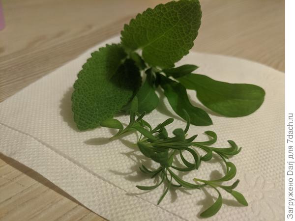 И скромная добавка в чай. Шалфей вознесенский, синеголовик и лаванда.е