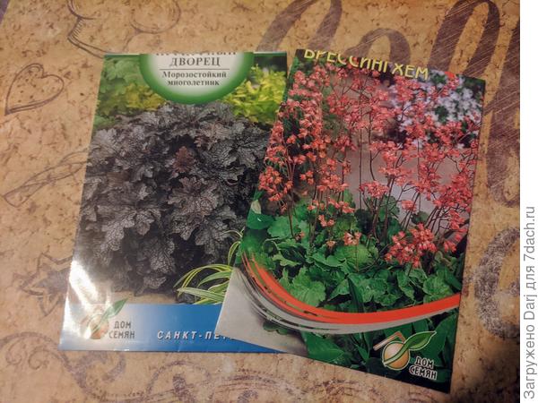 Выбор сортов определился наличием в магазине