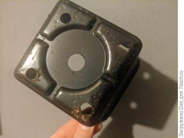 Очень дырявые горшочки...