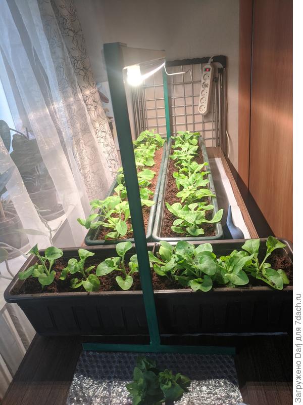 Почему-то не прикрепилась фотография. Вот подарок-то:)