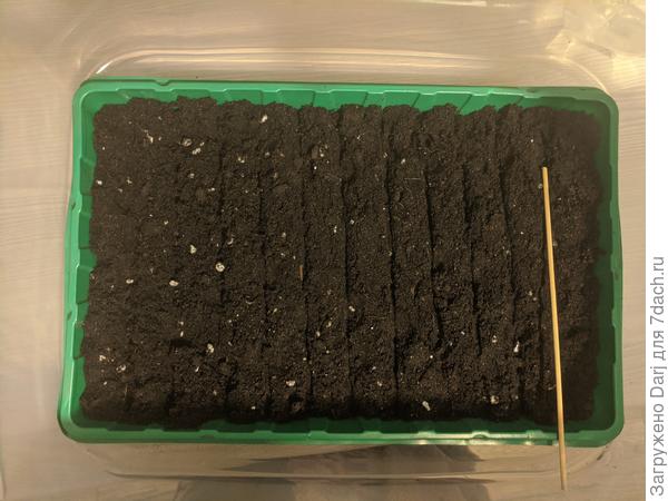 Ёмкость готова