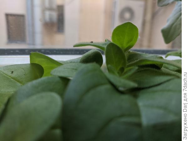 И на работе тоже....