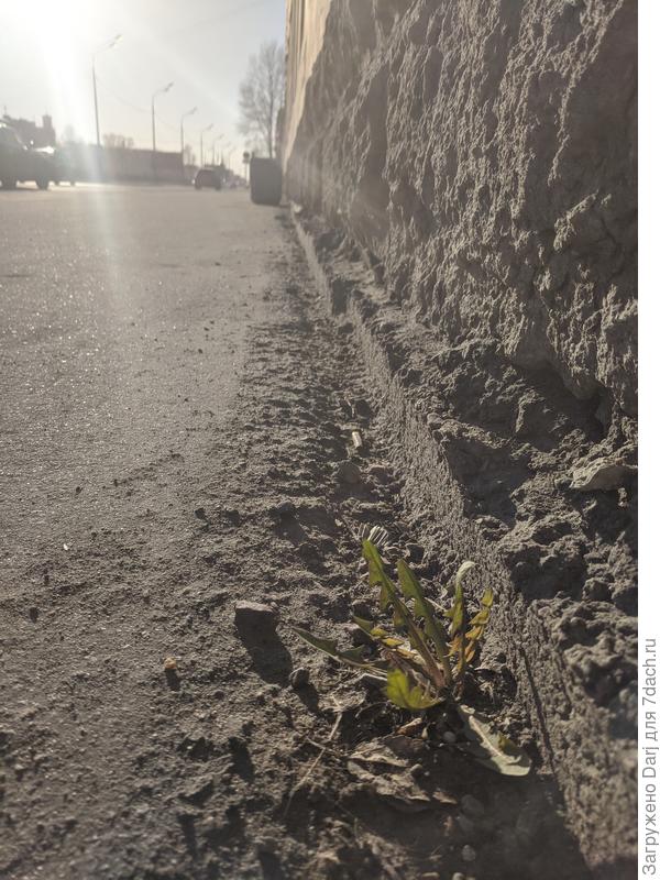 Питерский апрель