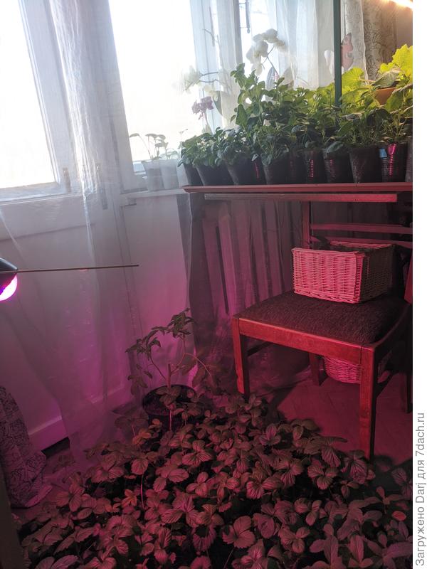 В битве за урожай все средства хороши