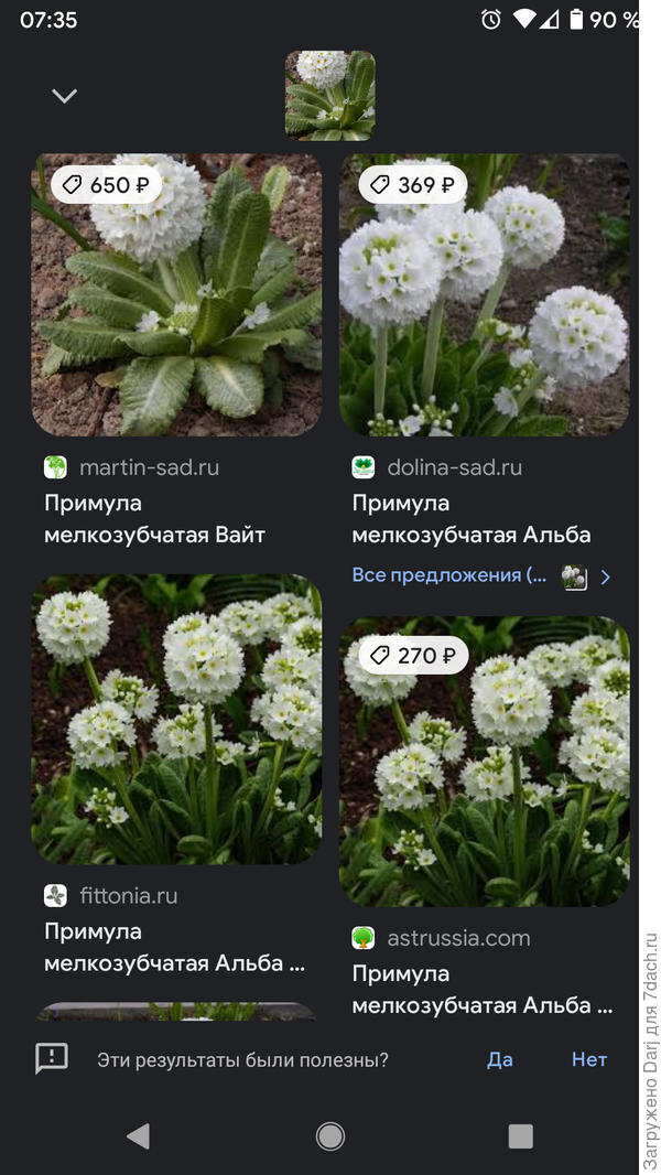 И данная картинка из интернета.