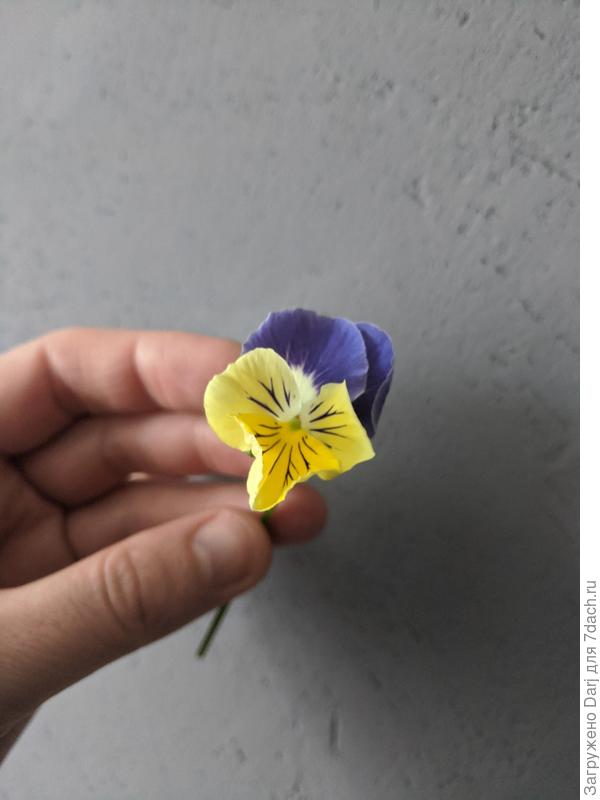 Ну, и ура! Получилось. Она как на картинке на упаковке