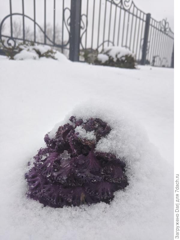 Апрель, вернись!!!!