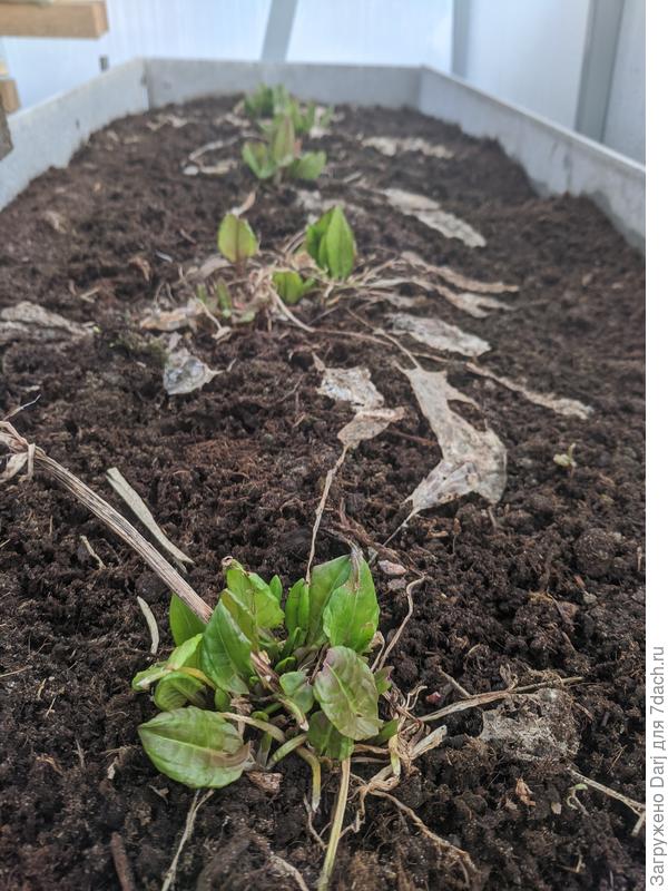 Но весна близко!