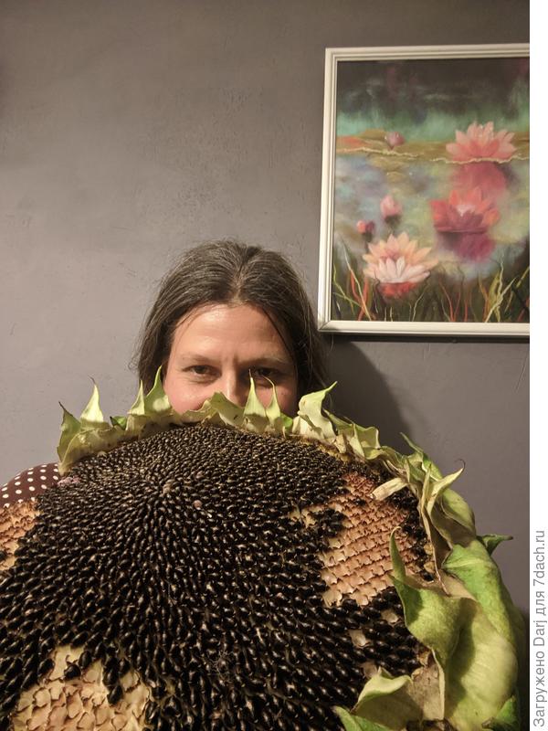 Самая большая корзинка