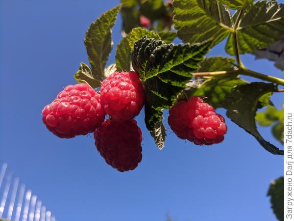 Хорошего лета!