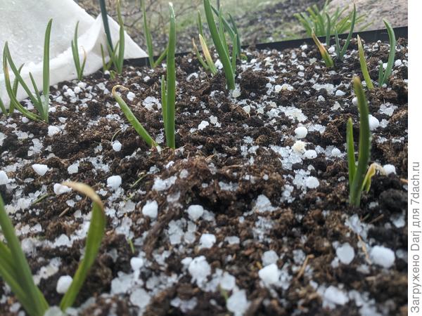 Ну что за май без града....