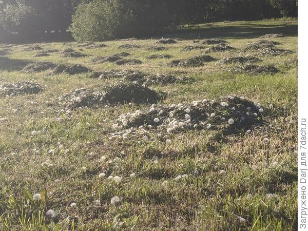 Одуваны всё.