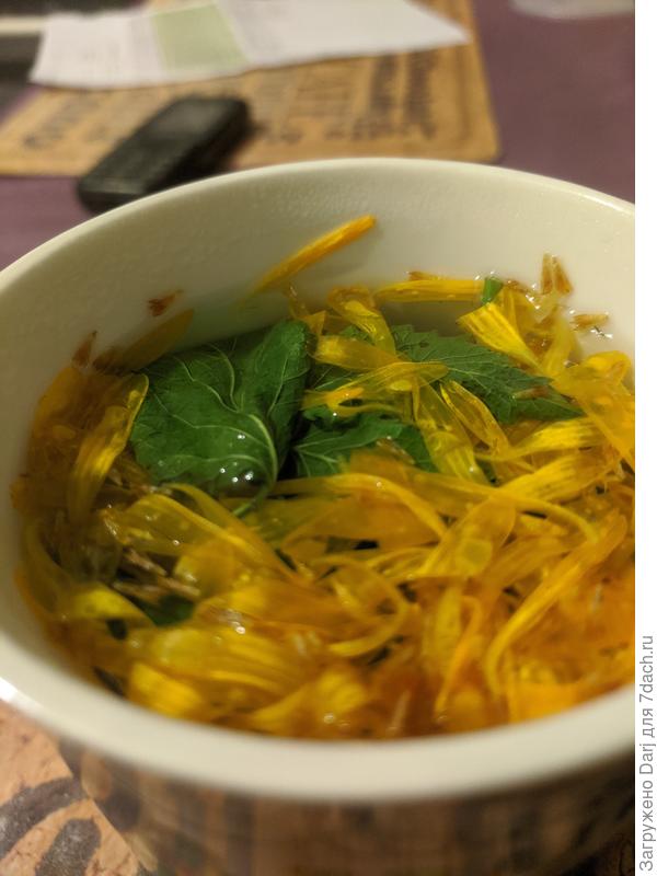 Календула с малиновым листом