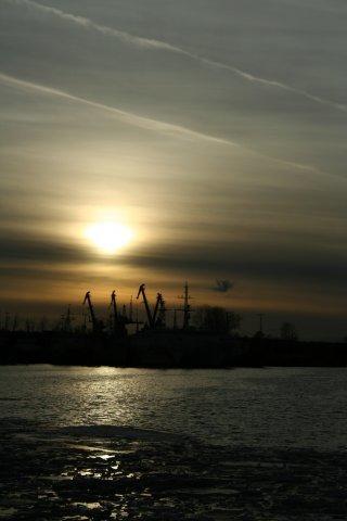 Между Стрельной и Ораниенбаумом