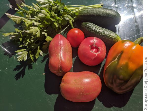 Зреют медленно. Но на еду хватает