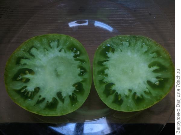 Эхо в разрезе