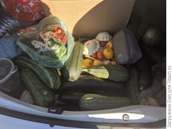 Тигрята и сударята ( такие ребристые и немножко в крапинку)