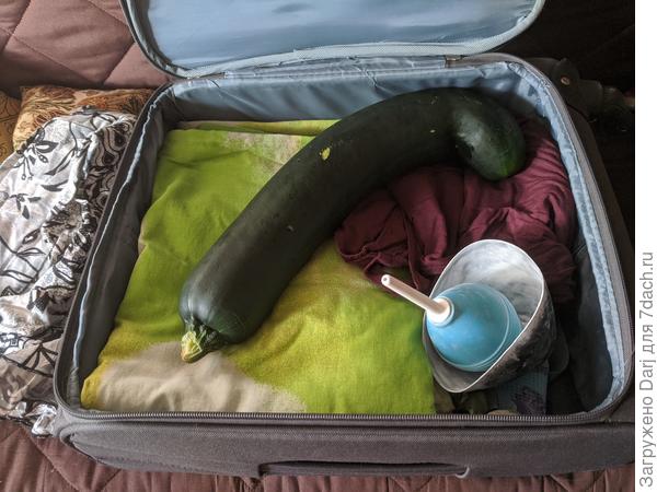 Канделла едет в Москву