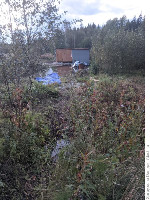 Это соседи. Каждую весну у них так. Мы свой участок поднимали, но в месте бывшего болотца растут кабачки и я их этим летом ни разу не поливала.