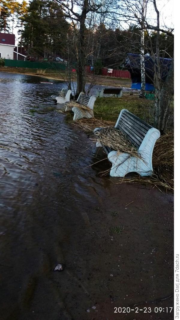 Ещё вот. Это февраль. Но это уже не болото. Это шторм:)