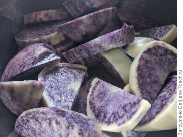 Картошка сорта Майями. При термической обработке становится совсем синяя. Очень непривычно. На вкус обычная рассыпчатая картошка.