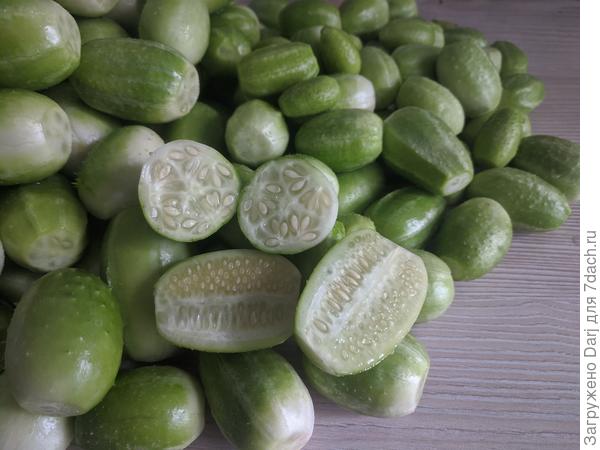 Эксперимент века. Ангурия или кукумис. Постился как декоративное растение в надежде на смешные колючие плоды. Плоды получились гладкие как огурец, на вкус тоже огурец. Много. Засолила...