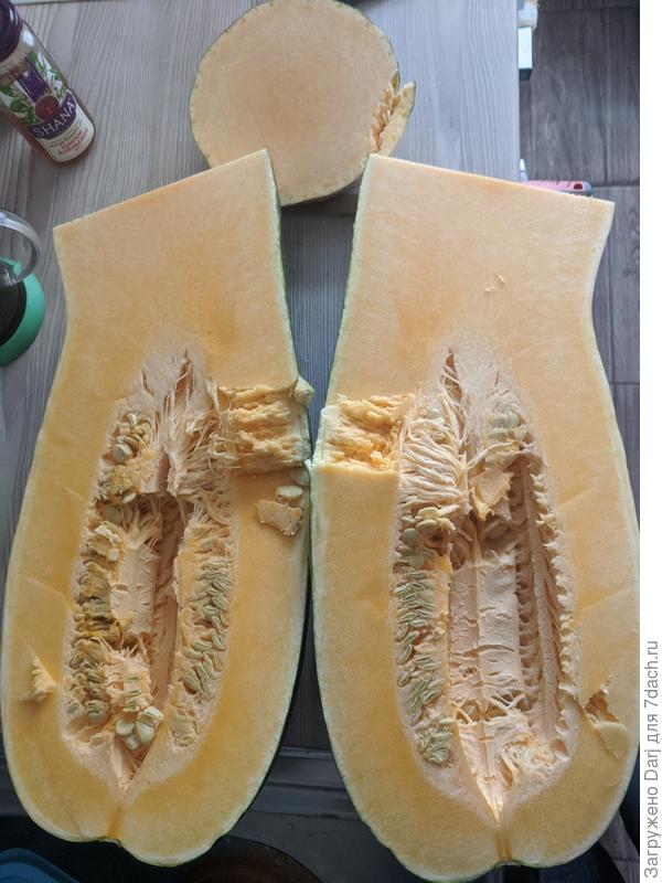 Ещё одна зелёная длинная тыква. Мякоть пахнет дыней.