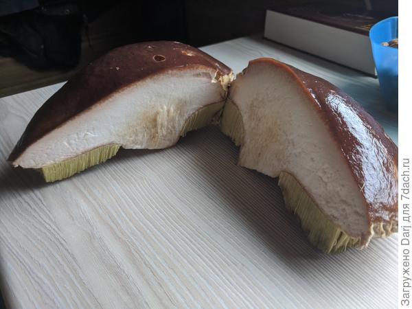 Чистенький!