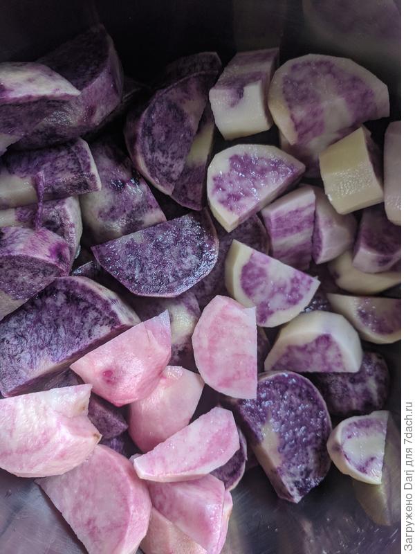 Розовый Элексир. Синие я покупала клубнями.