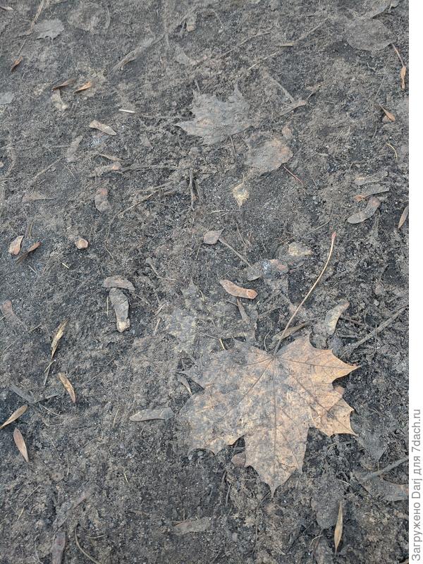 Наш ноябрь.