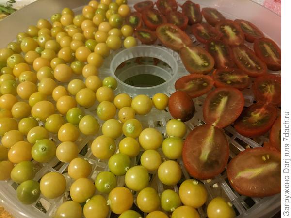 8 августа. Сушу остатки