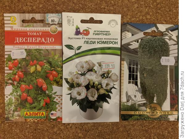 Ну-с, поехали... Привлёк этот томат. Посею одну штучку. Он же гном отчаянный. Но название Десперадо больше нравится.