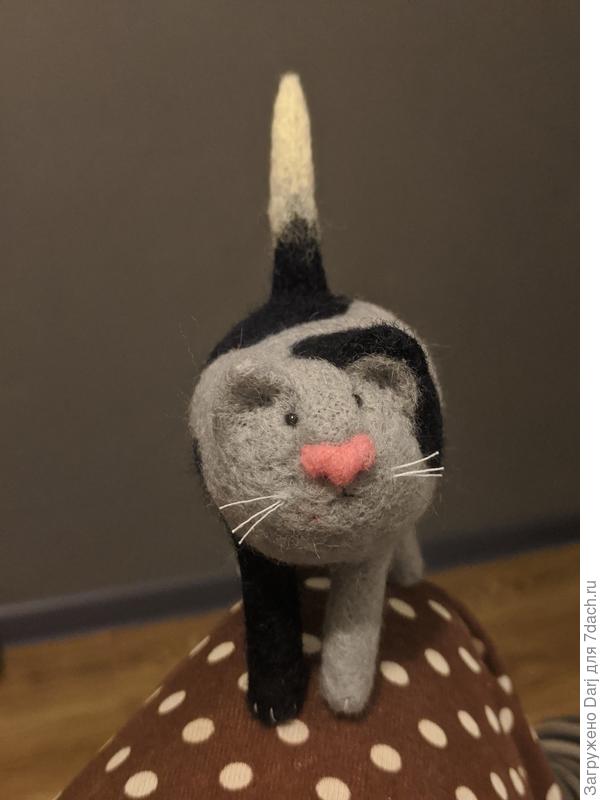 Шерстяной кот