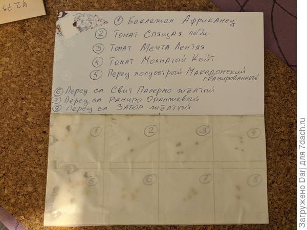 Надеюсь, всё будет хорошо