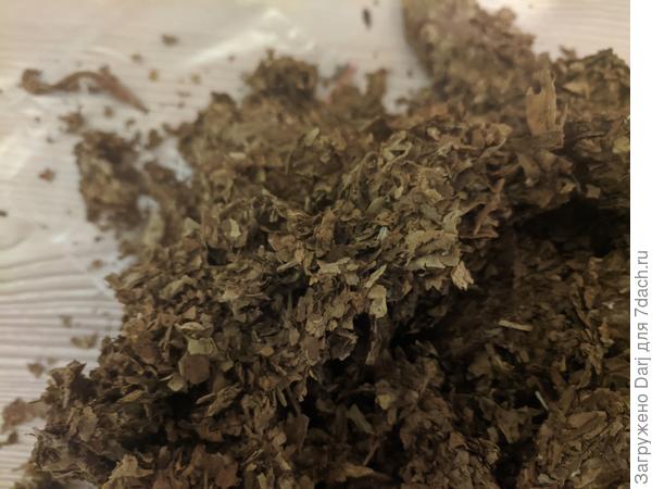 Табачище. Надо сказать, что все эти огромные растения, которые при сушке заняли сарай полностью, уместились в литровую банку