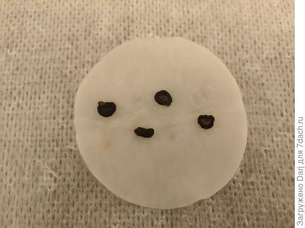 Семена перца