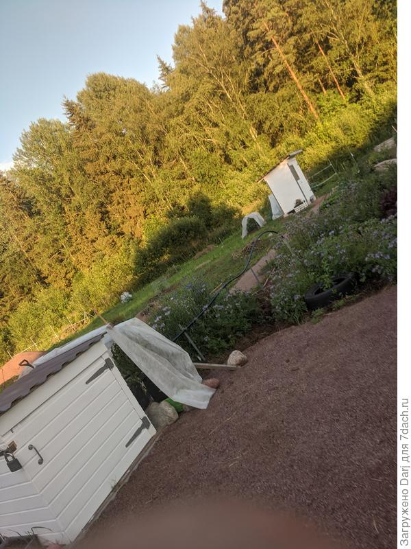 Вид сзади. Почему-то немножко криво сфотографировано