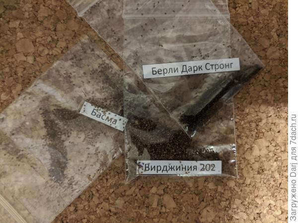 Семена от частника. Басма - низкий сорт.