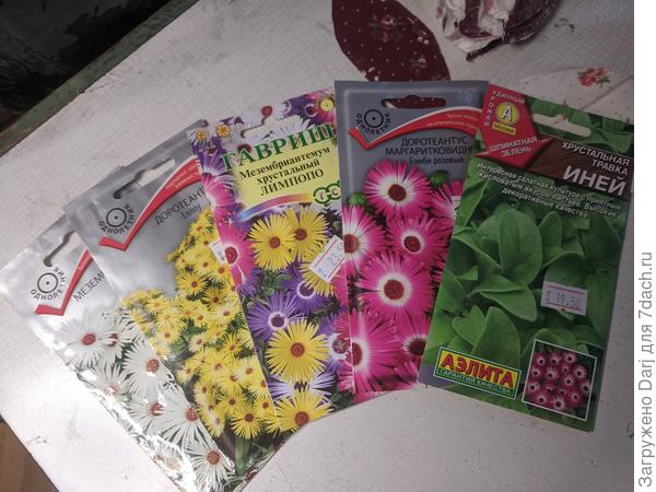 Комплект. Не все свежие. Перечитав статью ещё раз, сунула семена в холодильник