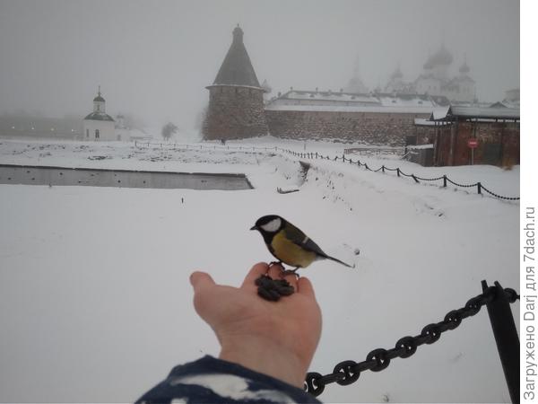 Мафия на Соловках