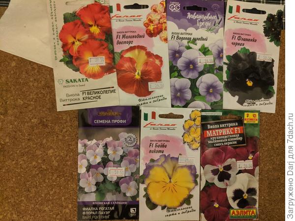 Внизу в центре