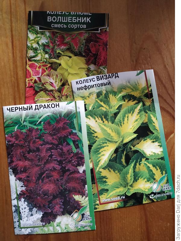 Я такие сеяла