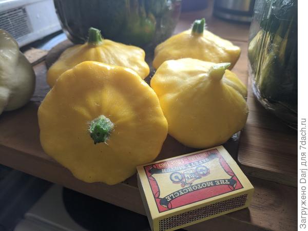 Патисончики