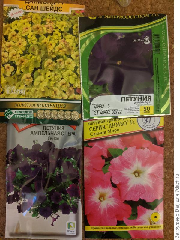 Первопроходцы. Жёлтую сурфинию посеяла 1 шт, взошла. Синюю оперу 2 шт, взошли. Эз Райде Блу в прошлом году одна пробная штучка не взошла, сейчас посеяла 4, три взошли. А вот с розовой история вышла. У неё очень странный срок годности. Написано, сбор 2019 года, причем эта информация наклеена отдельной бумажкой на то место, где обычно она напечатана на упаковке. Поэтому я решила, что здесь что-то не так и для начала посеяла 4 шт. одновременно с Эз Райде. Райде взошла и росла, у Морн тишина в студии. Я высыпала в лоток с Оперой остатки. Тут-то они и взошли. Все.