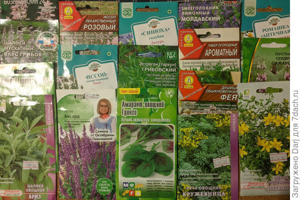 Это мой скромный набор на этот год. Очень хочется иссопы разных окрасок, потому что, это не только вкусно и полезно, но ещё и красиво. Рута, посеянная в грунт, не взошла, попробую рассадой. Ну и шалфеев много не бывает:)