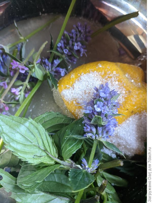 Где там уже лето?...!!!!