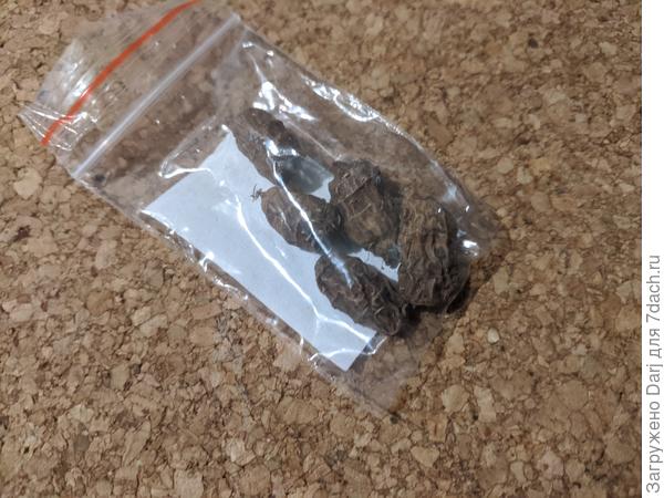 5 клубеньков стоят 20р.