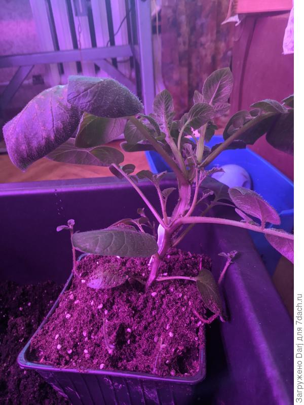 Начало марта 2022г....