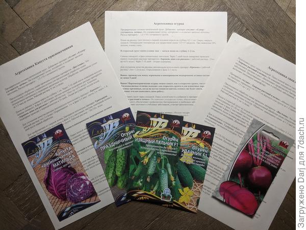 Участники проекта